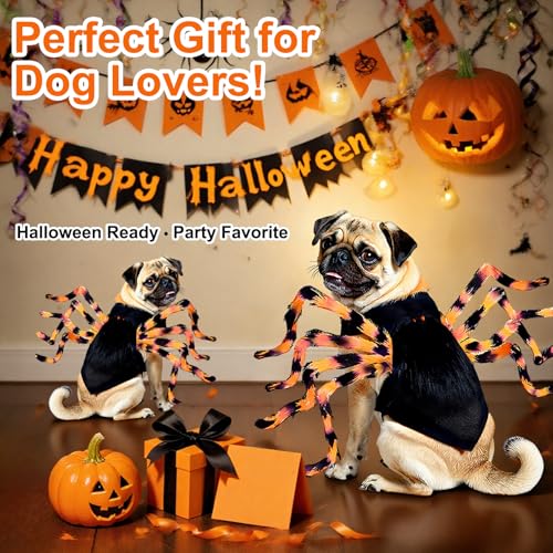 LED Spider Dog Halloween Costume with Multicolor Lights E571
