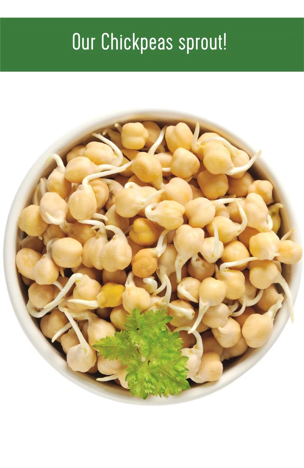 Chickpeas, Lentils and Green Split Peas 75 LBS O3541