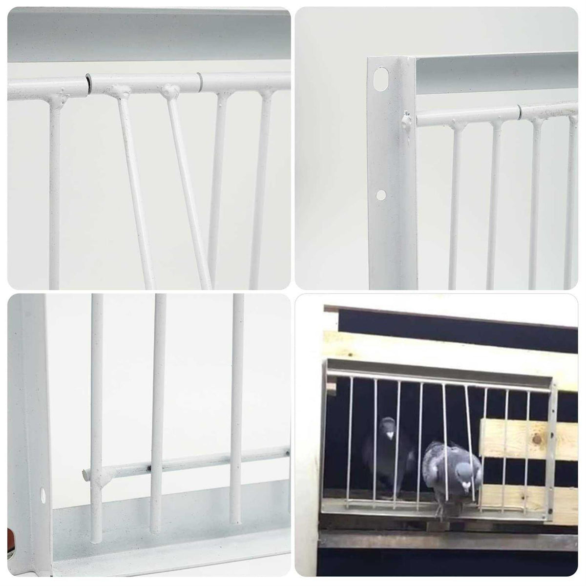 30cm One Way Entrance Bird Trap Door V3154