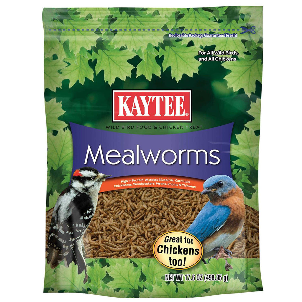 Mealworms Bird Food Y406126