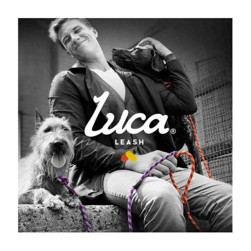 Slip Collar Dog Leash D1160